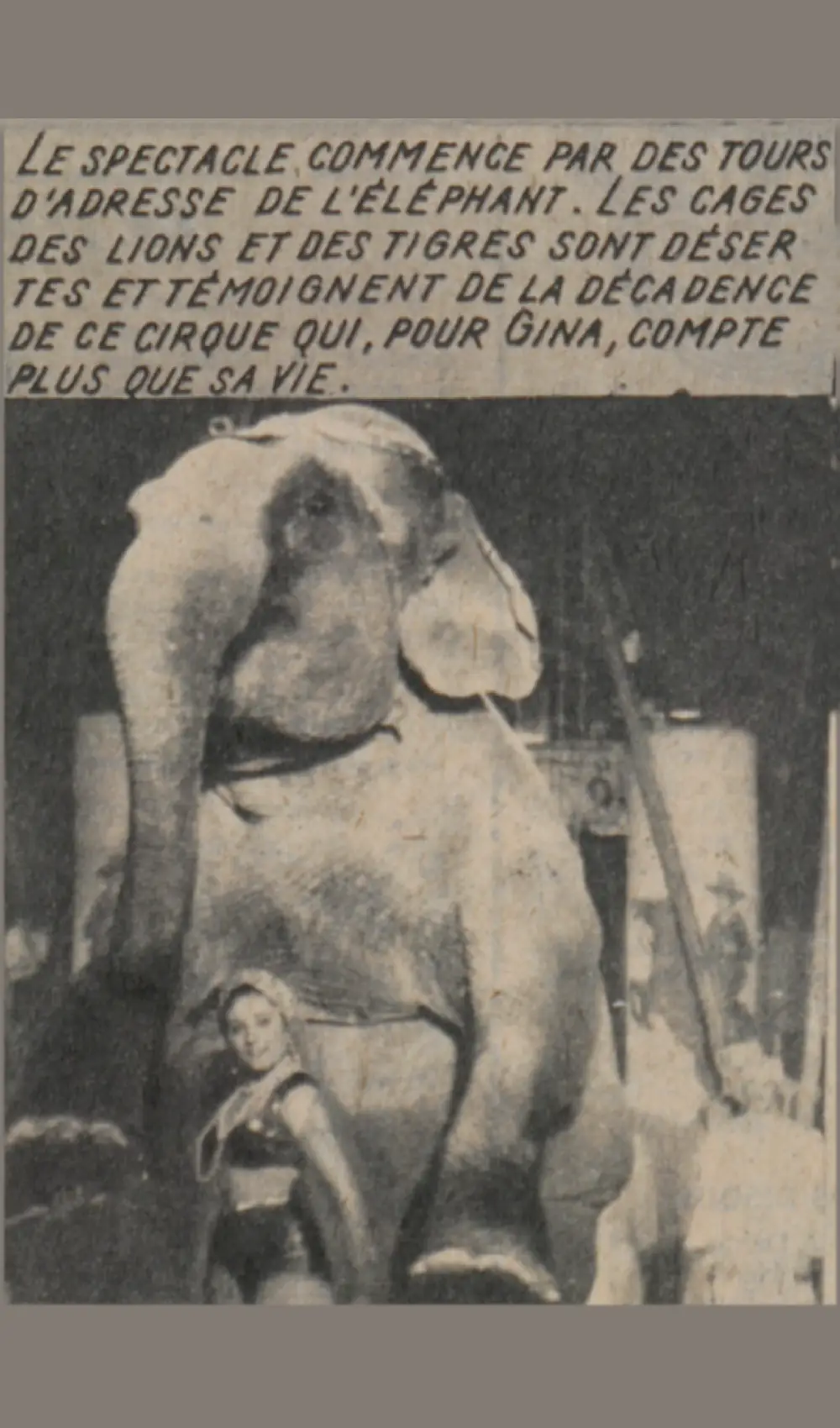 Carousel item